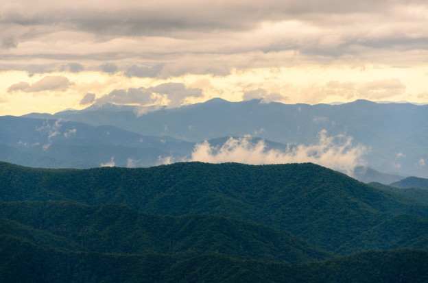 Beautiful spring photo taken near our Tennessee Smoky Mountain cabins for rent.