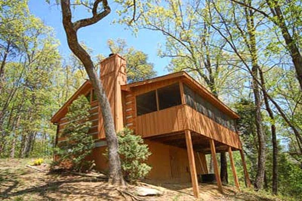 A Secluded Bearadise Log Cabin