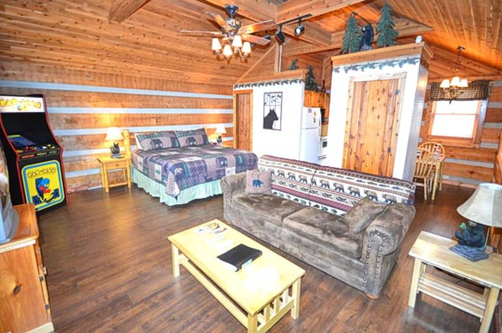 Open Living area w/Sofa Sleeper