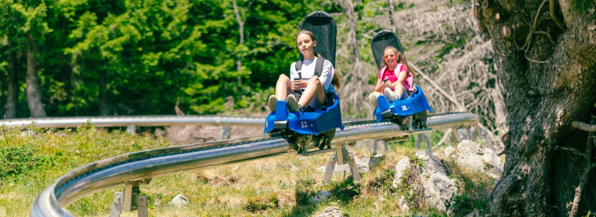 Young girls riding on mountain coaster